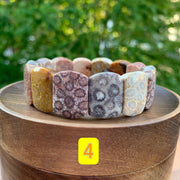 Fossil Coral Gemstone Bracelet - Handcrafted Healing Jewelry | Brahmatells - BrahmatellsStore