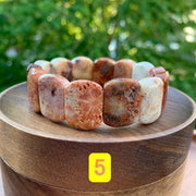 Fossil Coral Gemstone Bracelet - Handcrafted Healing Jewelry | Brahmatells - BrahmatellsStore