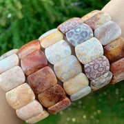 Fossil Coral Gemstone Bracelet - Handcrafted Healing Jewelry | Brahmatells - BrahmatellsStore