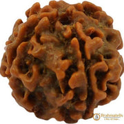Four Mukhi Rudraksha Bead - Enlightenment & Wisdom | Brahmatells - BrahmatellsStore