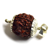 Four Mukhi Rudraksha Bead Silver Pendant - Wisdom of Brahma | Brahmatells - BrahmatellsStore