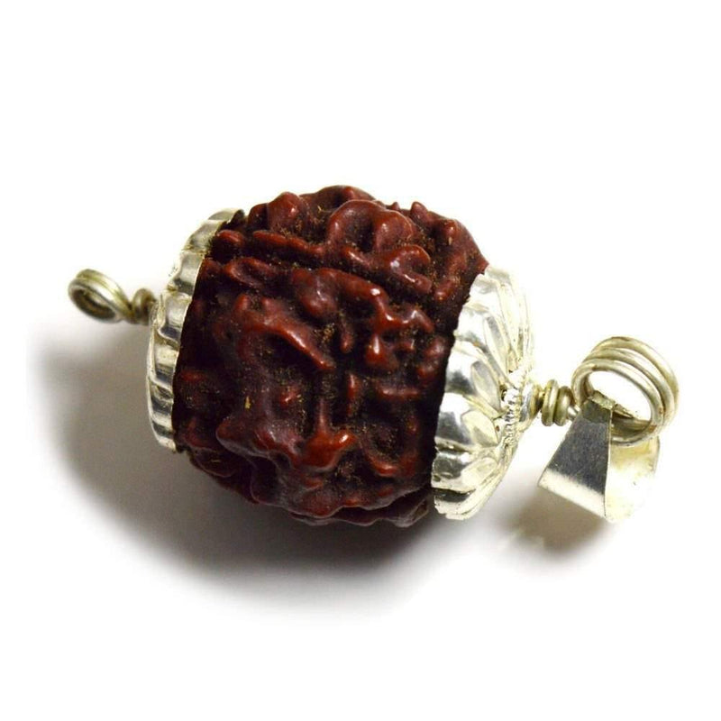 Four Mukhi Rudraksha Bead Silver Pendant - Wisdom of Brahma | Brahmatells - BrahmatellsStore
