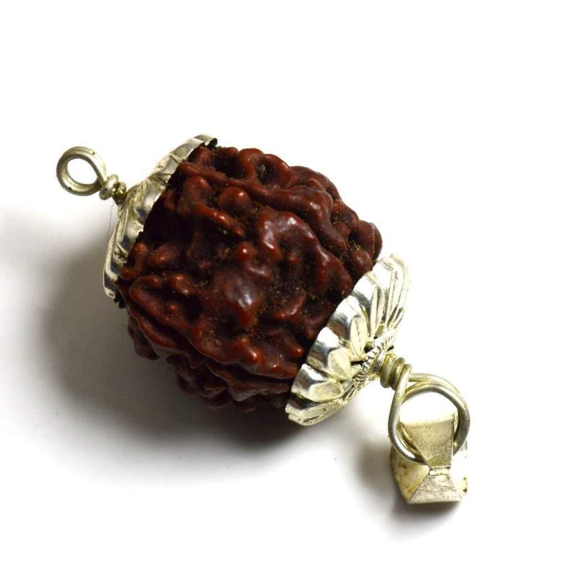 Four Mukhi Rudraksha Bead Silver Pendant - Wisdom of Brahma | Brahmatells - BrahmatellsStore