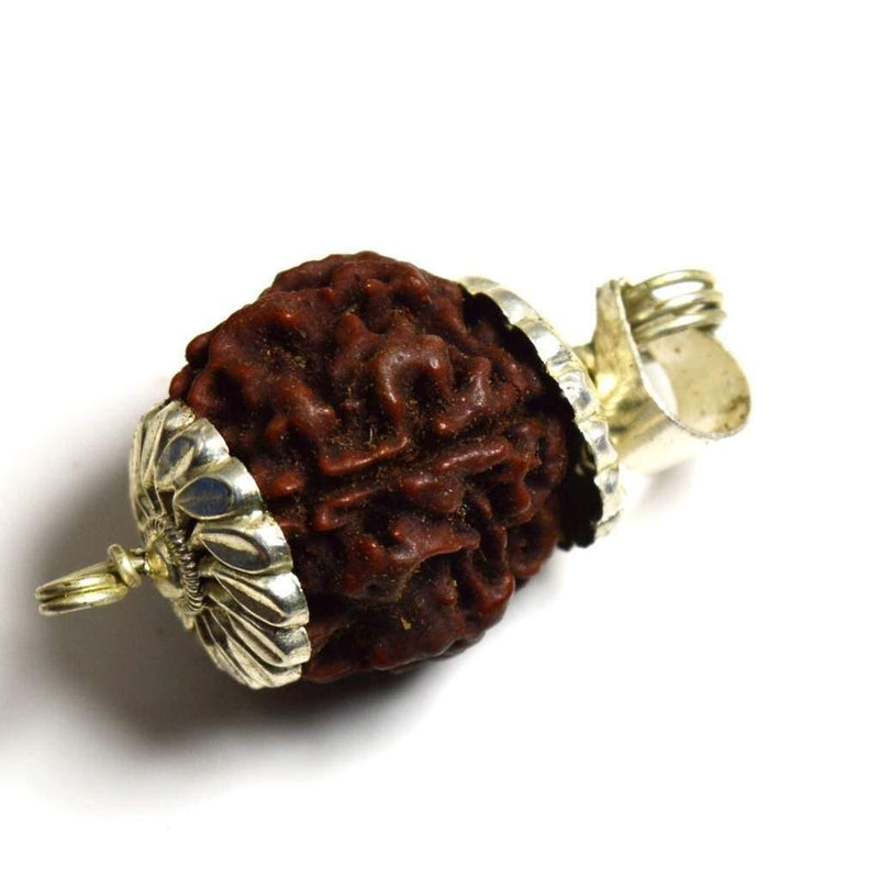 Four Mukhi Rudraksha Bead Silver Pendant - Wisdom of Brahma | Brahmatells - BrahmatellsStore