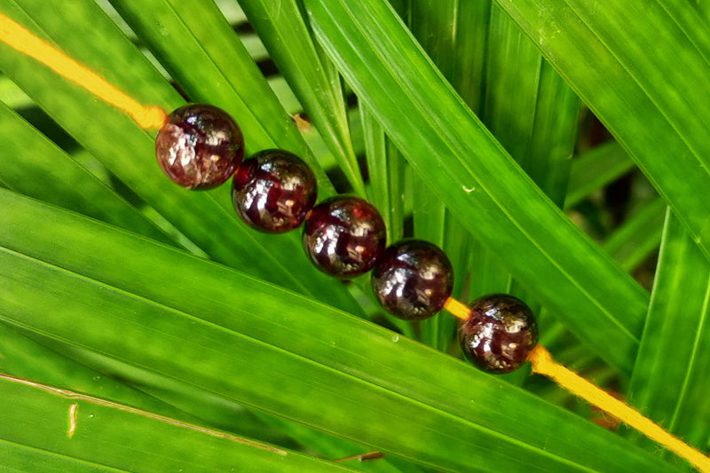 Garnet Ruby Band - BrahmatellsStore