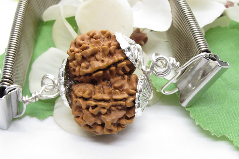 Gauri Shankar Rudraksha Bracelet with Silver Pendant - Harmony & Spiritual Connection | Brahmatells - BrahmatellsStore