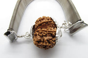 Gauri Shankar Rudraksha Bracelet with Silver Pendant - Harmony & Spiritual Connection | Brahmatells - BrahmatellsStore