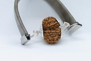 Gauri Shankar Rudraksha Bracelet with Silver Pendant - Harmony & Spiritual Connection | Brahmatells - BrahmatellsStore