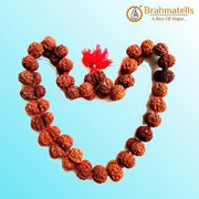 Gauri Shanker Rudraksha Mala for Spiritual Harmony | Brahmatells - BrahmatellsStore