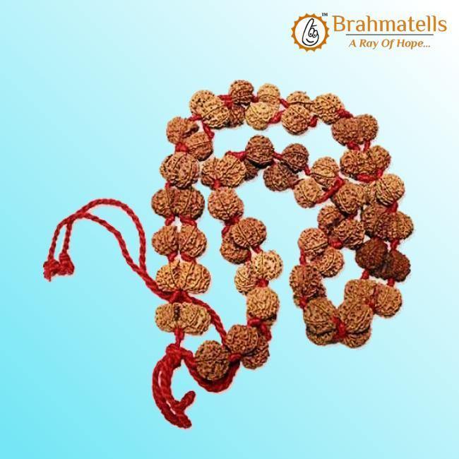 Gauri Shanker Rudraksha Mala for Spiritual Harmony | Brahmatells - BrahmatellsStore