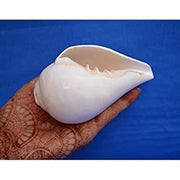 Gayatri Pooja Shankh: Enhance Your Spiritual Practice | Brahmatells - BrahmatellsStore