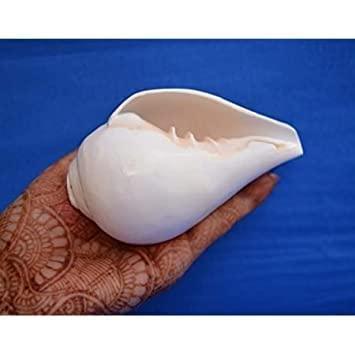 Gayatri Pooja Shankh: Enhance Your Spiritual Practice | Brahmatells - BrahmatellsStore