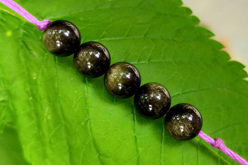 Golden Obsidian Band - BrahmatellsStore