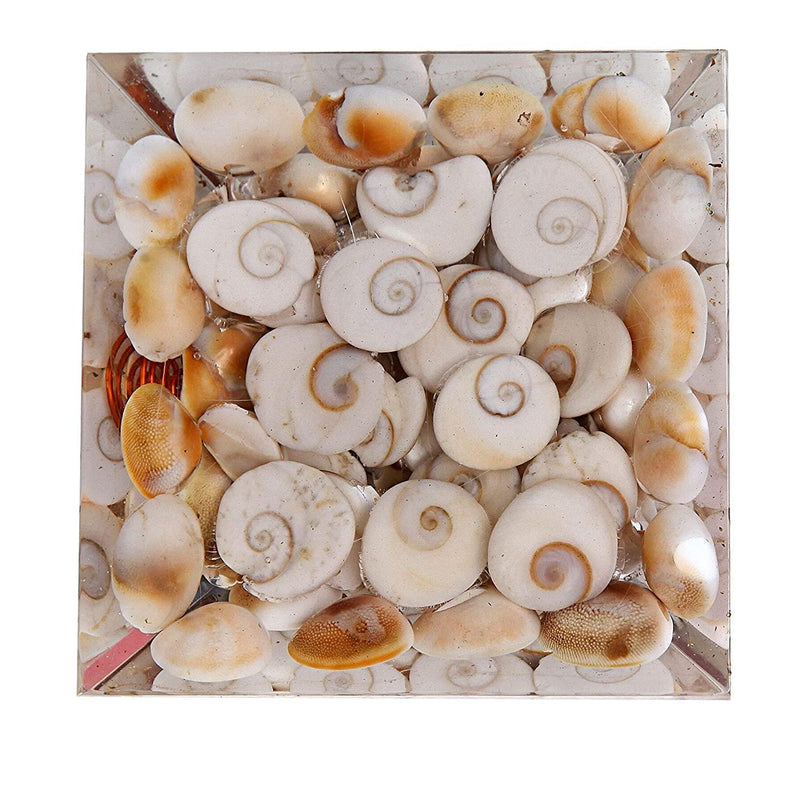 Gomti Chakra Pyramid for Spiritual Harmony | Brahmatells - BrahmatellsStore