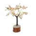 Gomti Chakra Wish Tree: A Symbol of Prosperity and Protection | Brahmatells - BrahmatellsStore