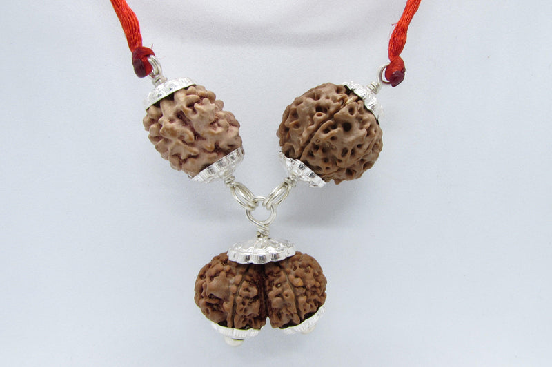 Harmonious Marriage Rudraksha Pendant - Enhance Your Bond | Brahmatells - BrahmatellsStore