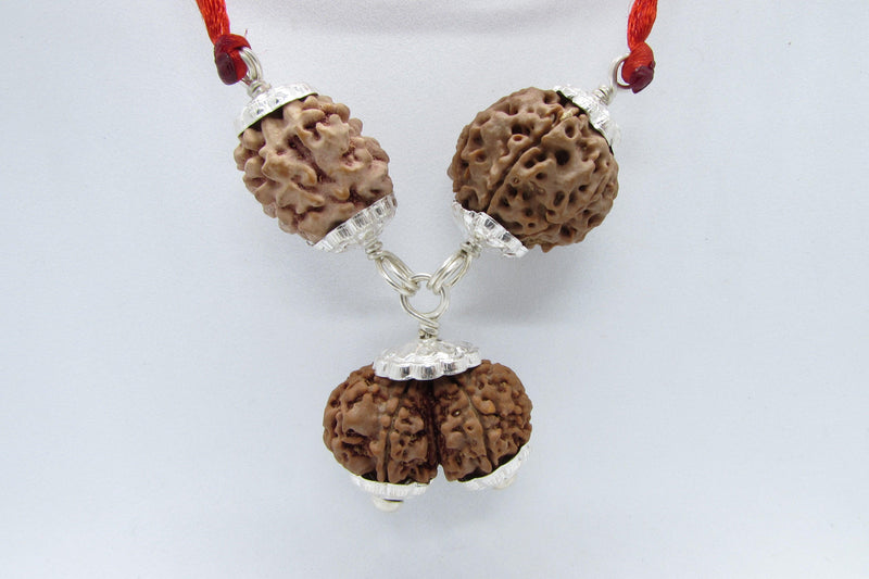 Harmonious Marriage Rudraksha Pendant - Enhance Your Bond | Brahmatells - BrahmatellsStore