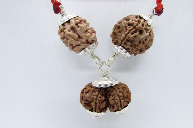 Harmonious Marriage Rudraksha Pendant - Enhance Your Bond | Brahmatells - BrahmatellsStore
