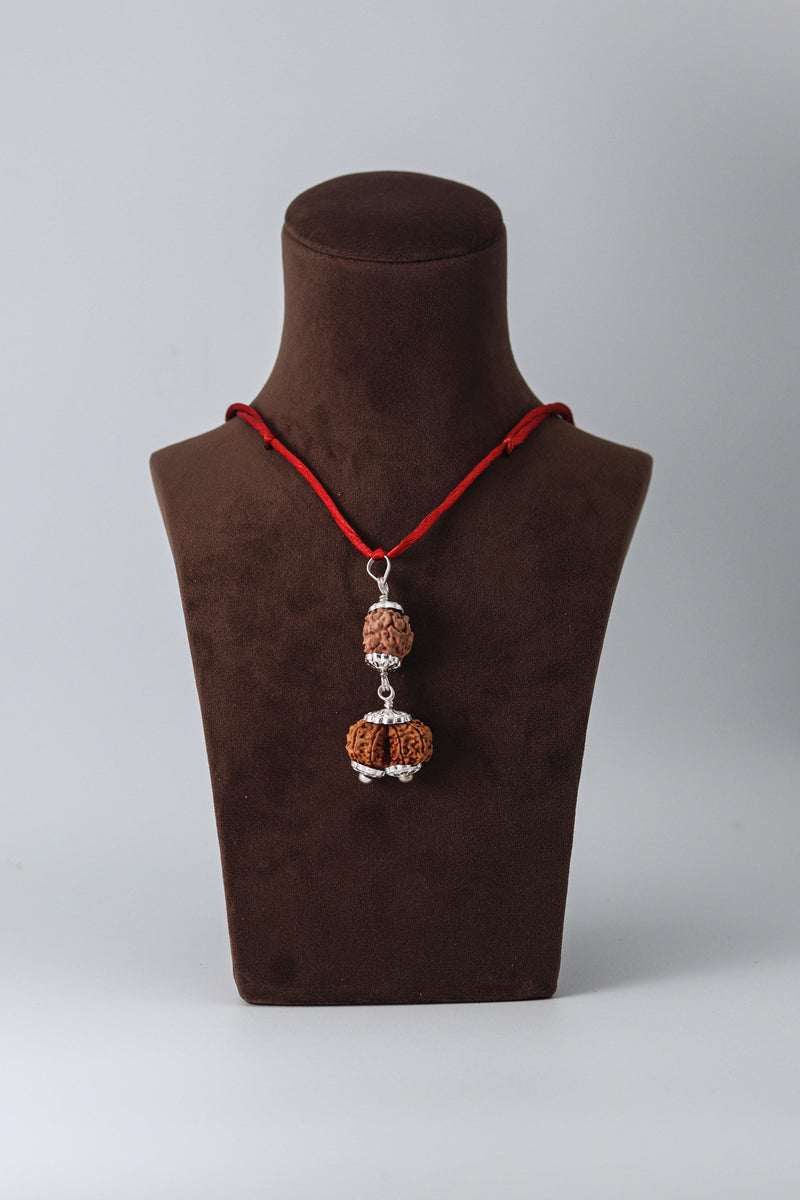 Harmonize Relationships with 2 Mukhi & Gaurishankar Rudraksha | Brahmatells - BrahmatellsStore