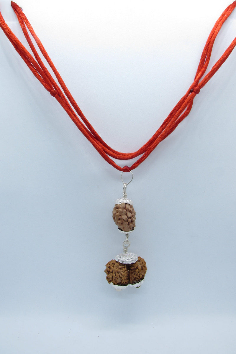 Harmonize Relationships with 2 Mukhi & Gaurishankar Rudraksha | Brahmatells - BrahmatellsStore