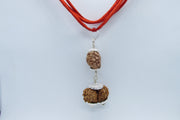 Harmonize Relationships with 2 Mukhi & Gaurishankar Rudraksha | Brahmatells - BrahmatellsStore