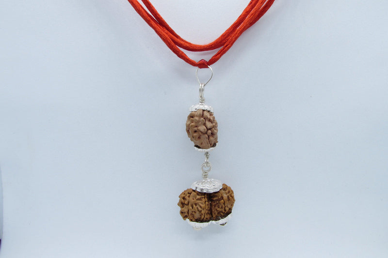 Harmonize Relationships with 2 Mukhi & Gaurishankar Rudraksha | Brahmatells - BrahmatellsStore