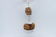 Harmonize Relationships with 2 Mukhi & Gaurishankar Rudraksha | Brahmatells - BrahmatellsStore