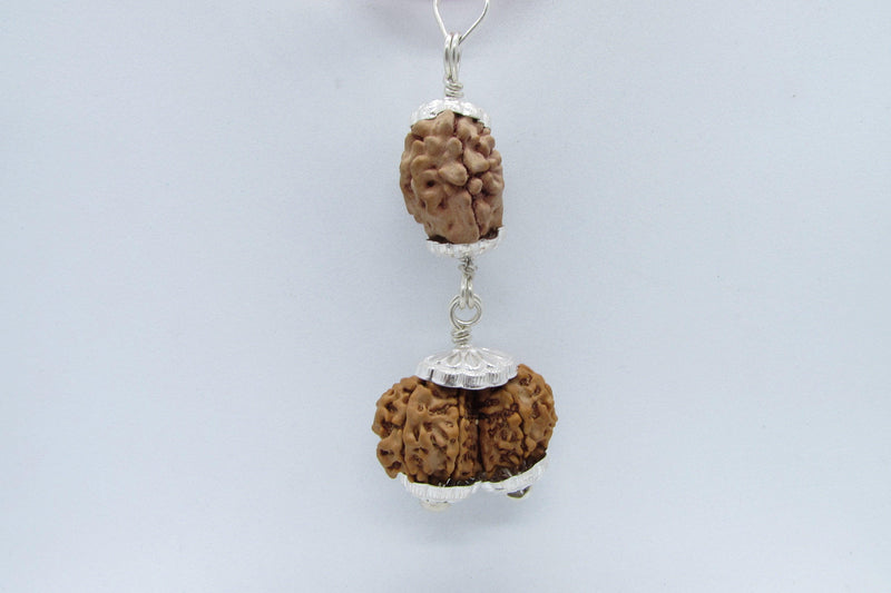 Harmonize Relationships with 2 Mukhi & Gaurishankar Rudraksha | Brahmatells - BrahmatellsStore