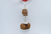 Harmonize Relationships with 2 Mukhi & Gaurishankar Rudraksha | Brahmatells - BrahmatellsStore