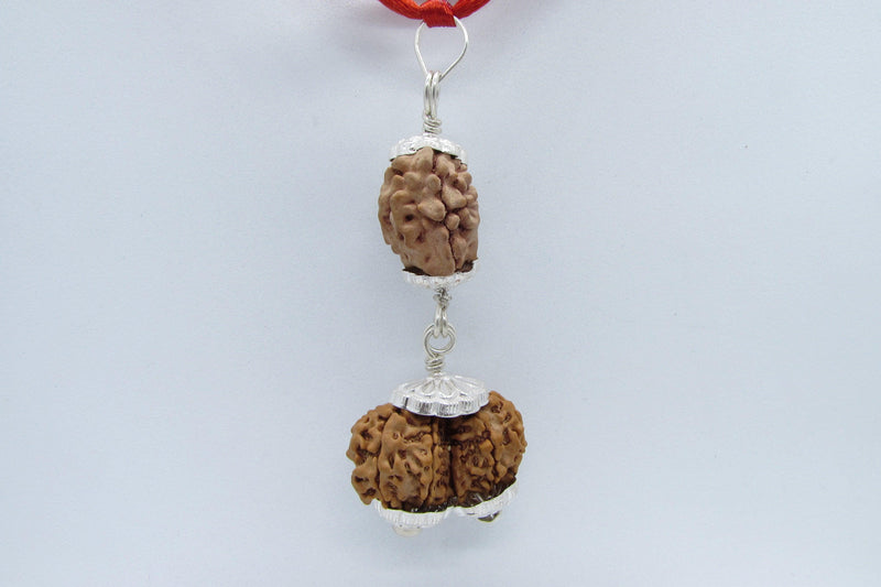 Harmonize Relationships with 2 Mukhi & Gaurishankar Rudraksha | Brahmatells - BrahmatellsStore