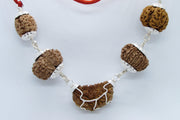 Heart Health Rudraksha Mala: Spiritual Aid for Cardio Wellness | Brahmatells - BrahmatellsStore
