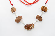 Heart Health Rudraksha Mala: Spiritual Aid for Cardio Wellness | Brahmatells - BrahmatellsStore