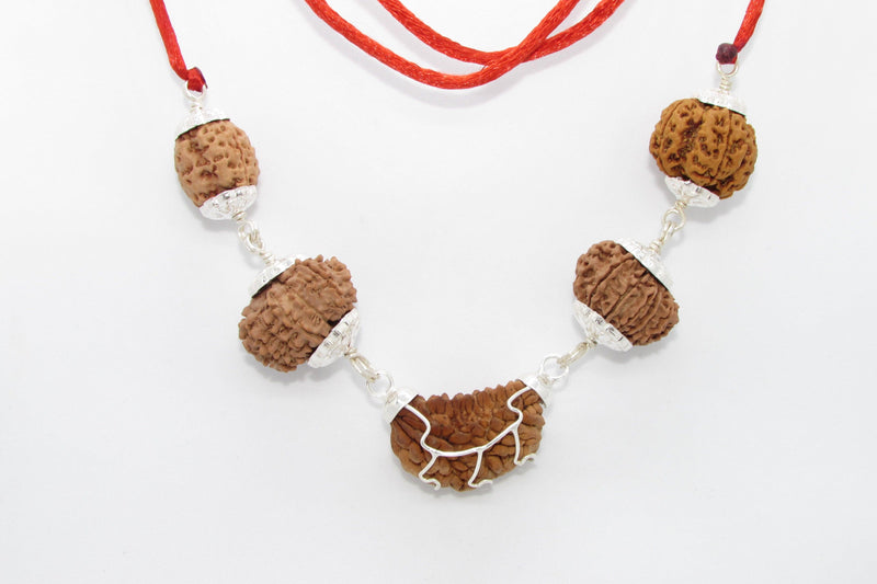 Heart Health Rudraksha Mala: Spiritual Aid for Cardio Wellness | Brahmatells - BrahmatellsStore