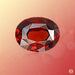 Hessonite Gomed oval BTHG110GSM - BrahmatellsStore