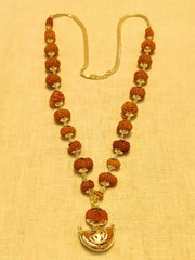 Indrakshi Mala with 1-21 Mukhi Rudrakshas - Divine Energy Spectrum | Brahmatells - BrahmatellsStore