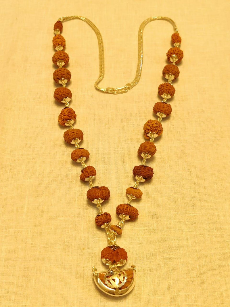 Indrakshi Mala with 1-21 Mukhi Rudrakshas - Divine Energy Spectrum | Brahmatells - BrahmatellsStore
