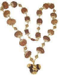 Indrakshi Mala with 1-21 Mukhi Rudrakshas - Divine Energy Spectrum | Brahmatells - BrahmatellsStore