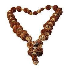 Indrakshi Mala with 1-21 Mukhi Rudrakshas - Divine Energy Spectrum | Brahmatells - BrahmatellsStore