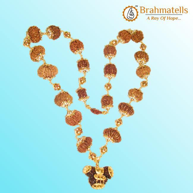 Indrakshi Mala with 1-21 Mukhi Rudrakshas - Divine Energy Spectrum | Brahmatells - BrahmatellsStore