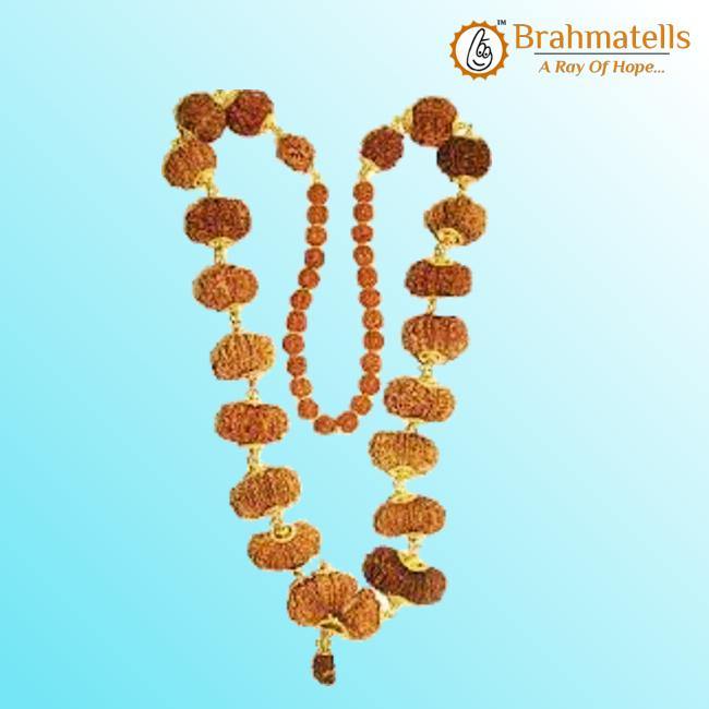 Indrakshi Mala with 1-21 Mukhi Rudrakshas - Divine Energy Spectrum | Brahmatells - BrahmatellsStore
