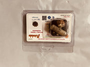 Laxmi Kavach Pendant with 7 Mukhi Rudraksha | Brahmatells - BrahmatellsStore