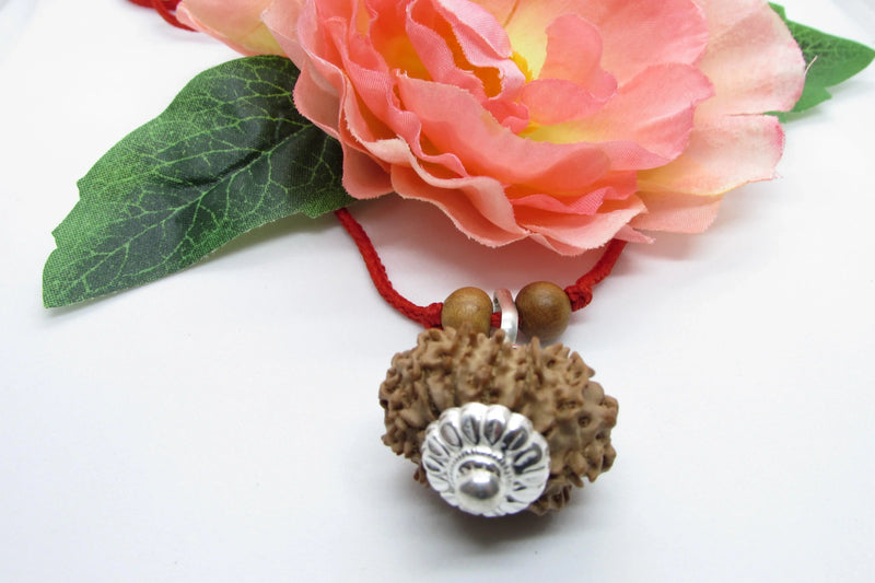 Leo Zodiac Rudraksh Power - 12 Mukhi Nepal Bead for Sun Energy | Brahmatells - BrahmatellsStore