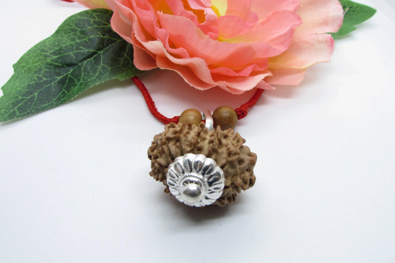 Leo Zodiac Rudraksh Power - 12 Mukhi Nepal Bead for Sun Energy | Brahmatells - BrahmatellsStore