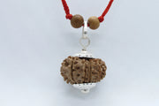 Leo Zodiac Rudraksh Power - 12 Mukhi Nepal Bead for Sun Energy | Brahmatells - BrahmatellsStore