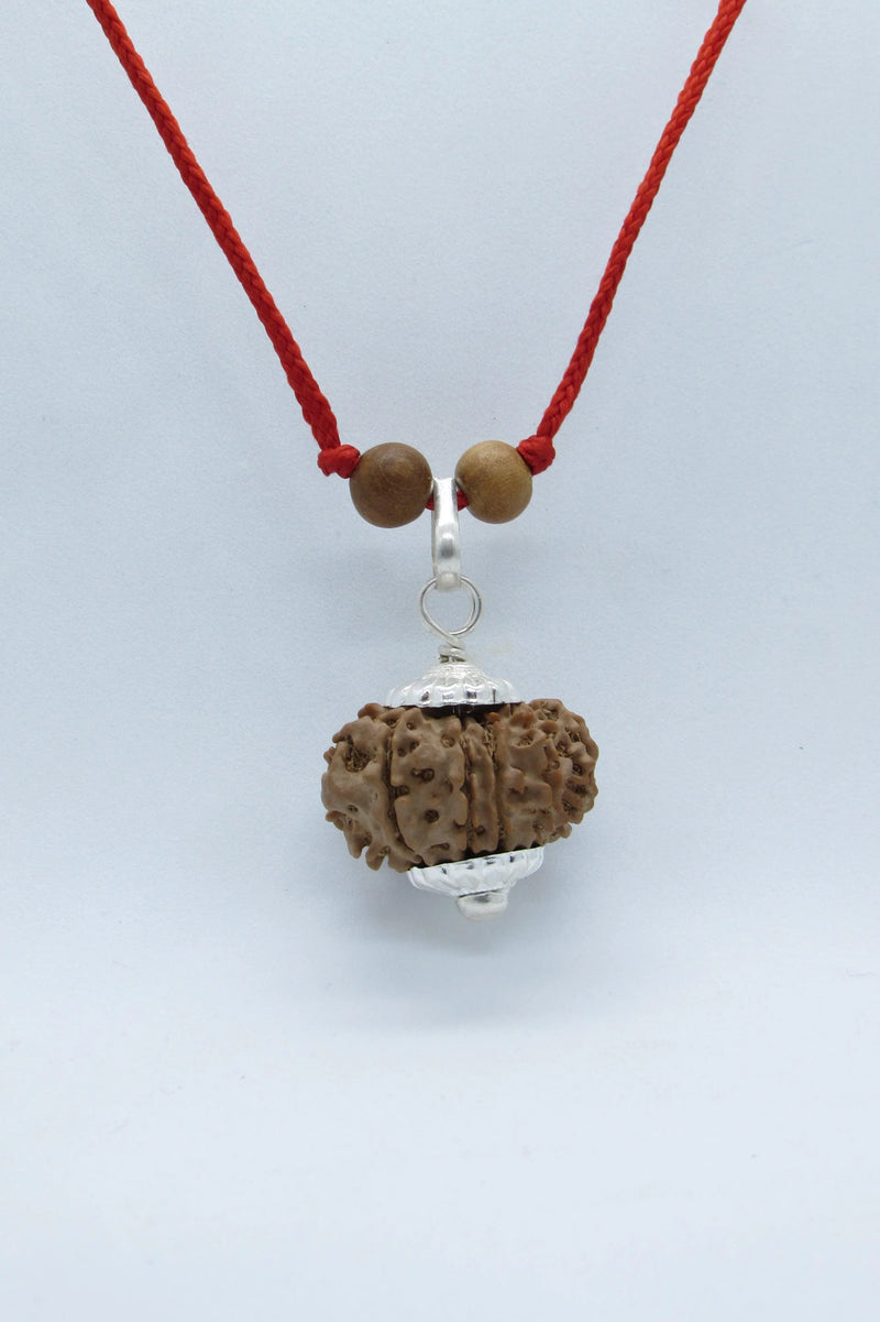 Leo Zodiac Rudraksh Power - 12 Mukhi Nepal Bead for Sun Energy | Brahmatells - BrahmatellsStore