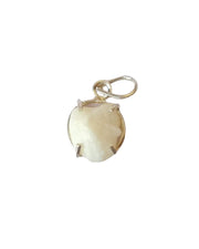 Machh Mani Locket Stone Lab Certified - BrahmatellsStore
