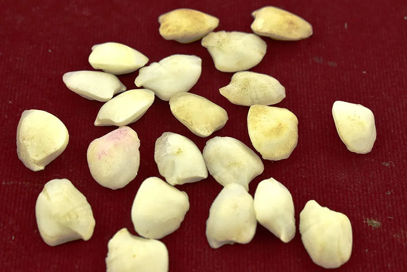 Machmani Stone - BrahmatellsStore