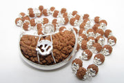 Mahadev Kavach: 5 Mukhi & 1 Mukhi Rudraksha Combination | Brahmatells - BrahmatellsStore