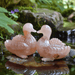 Mandarin Duck Set for Love & Harmony | Brahmatells - BrahmatellsStore