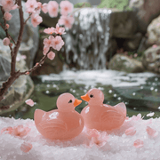 Mandarin Duck Set for Love & Harmony | Brahmatells - BrahmatellsStore